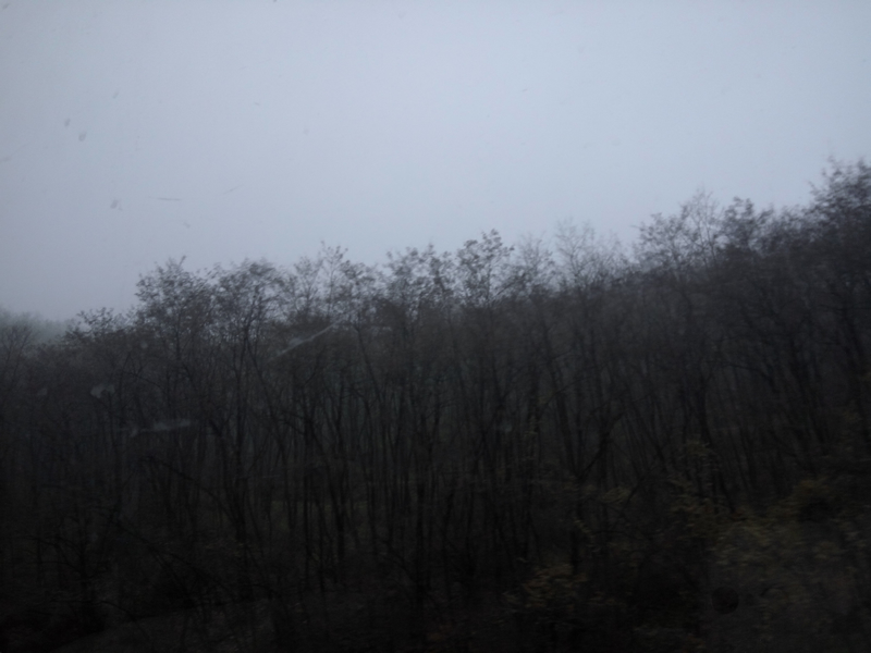 IMG_20161118_170432.jpg IMG_20161118_170432.jpg